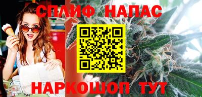 МДПВ Пенза