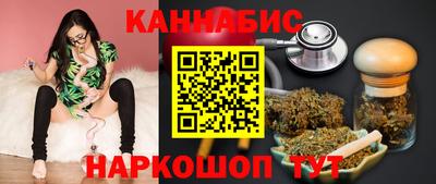 МДПВ Пенза