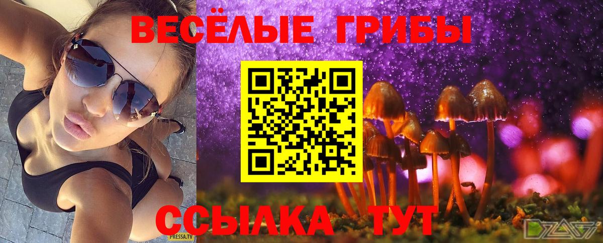 Строитель  Галлюциногенные грибы MAGIC MUSHROOMS  Вход с VPN  Галлюциногенные грибы GOLDEN TEACHER 